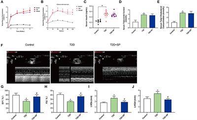 Proteomic and metabolomic analyses reveal the novel targets of spermine for alleviating diabetic cardiomyopathy in type II diabetic mice